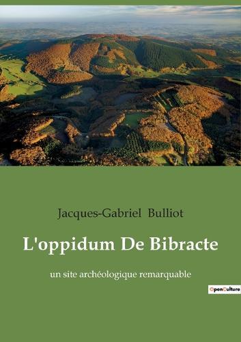 L'oppidum De Bibracte: un site archéologique remarquable