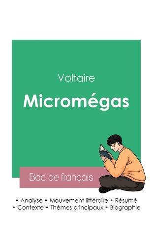 Reussir son Bac de francais 2023: Analyse de Micromegas de Voltaire