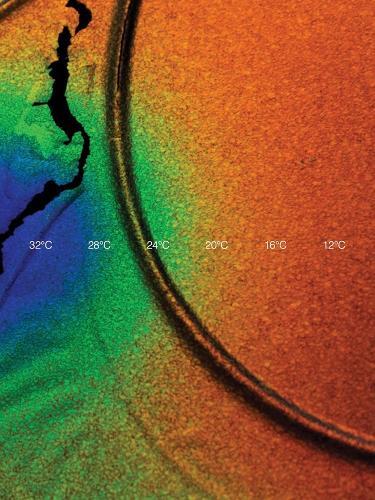 Cooper Jacoby - How do I survive?