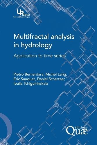 Multifractal analysis in hydrology: Application to time series