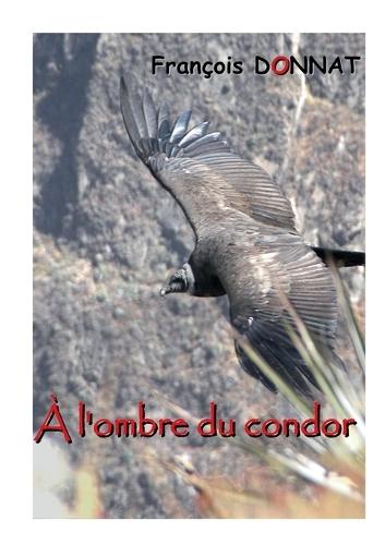 À l'ombre du condor