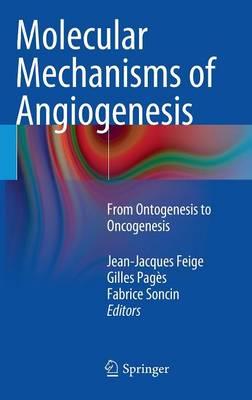 Molecular Mechanisms of Angiogenesis: From Ontogenesis to Oncogenesis