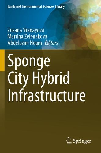Sponge City Hybrid Infrastructure