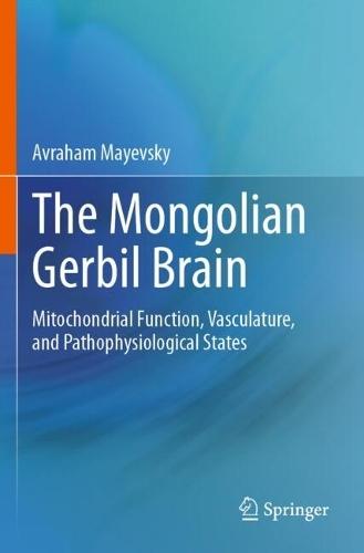 The Mongolian Gerbil Brain: Mitochondrial Function, Vasculature, and Pathophysiological States