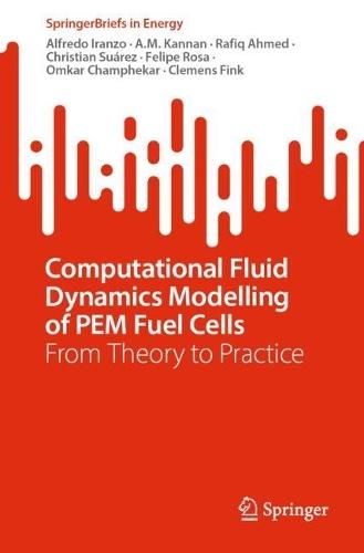 Computational Fluid Dynamics Modelling of PEM Fuel Cells: From Theory to Practice