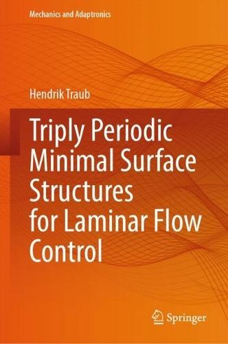 Triply Periodic Minimal Surface Structures for Laminar Flow Control
