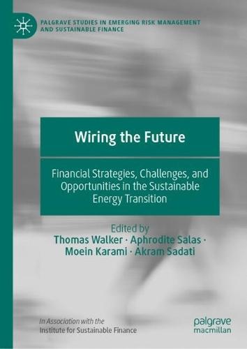Wiring the Future: Financial Strategies, Challenges, and Opportunities in the Sustainable Energy Transition
