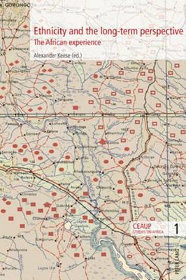 Ethnicity and the long-term perspective: The African experience