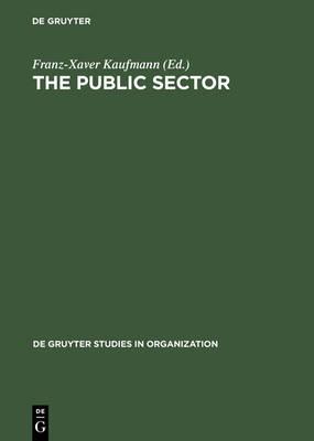 The Public Sector: Challenge for Coordination and Learning