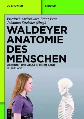 Waldeyer - Anatomie Des Menschen: Lehrbuch Und Atlas in Einem Band