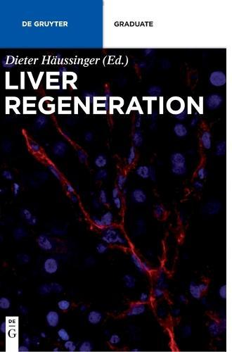 Liver Regeneration