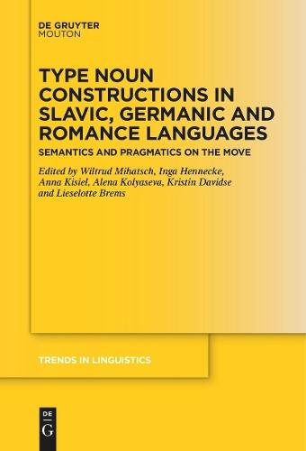 Type Noun Constructions in Slavic, Germanic and Romance Languages: Semantics and Pragmatics on the Move