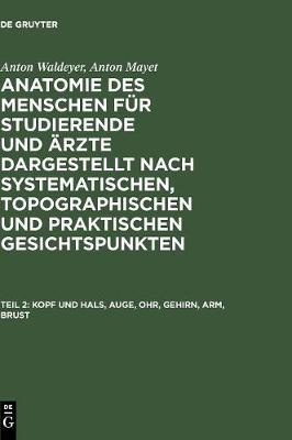 Kopf und Hals, Auge, Ohr, Gehirn, Arm, Brust