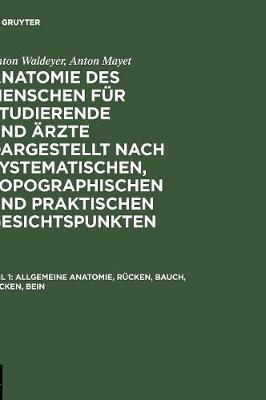 Allgemeine Anatomie, Rücken, Bauch, Becken, Bein
