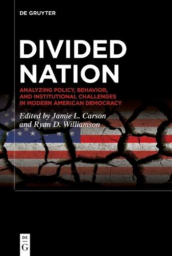 Divided Nation: Analyzing Policy, Behavior, and Institutional Challenges in Modern American Democracy