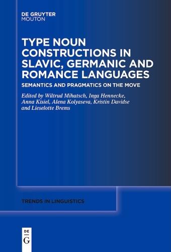 Type Noun Constructions in Slavic, Germanic and Romance Languages: Semantics and Pragmatics on the Move