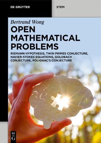 Open Mathematical Problems: Riemann Hypothesis, Twin Primes Conjecture, Navier-Stokes Equations, Goldbach Conjecture, Polignac's Conjecture