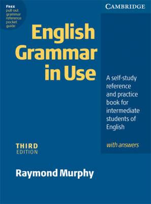 English Grammar In Use Klett Edition: A Self-study Reference and Practice Book for Intermediate Students of English