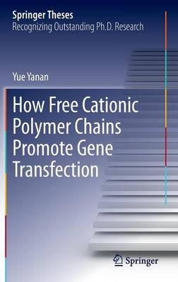 How Free Cationic Polymer Chains Promote Gene Transfection