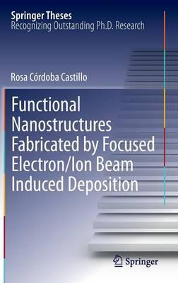 Functional Nanostructures Fabricated by Focused Electron/Ion Beam Induced Deposition