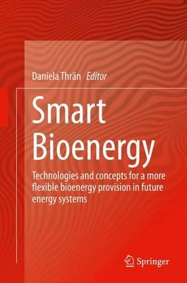 Smart Bioenergy: Technologies and concepts for a more flexible bioenergy provision in future energy systems