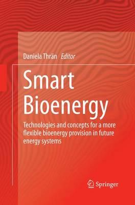 Smart Bioenergy: Technologies and concepts for a more flexible bioenergy provision in future energy systems