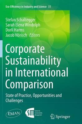 Corporate Sustainability in International Comparison: State of Practice, Opportunities and Challenges