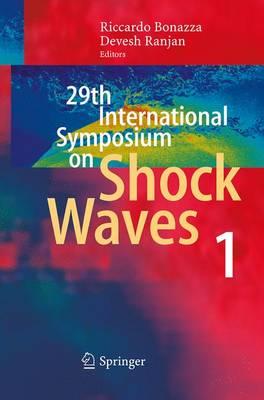 29th International Symposium  on Shock Waves 1: Volume 1