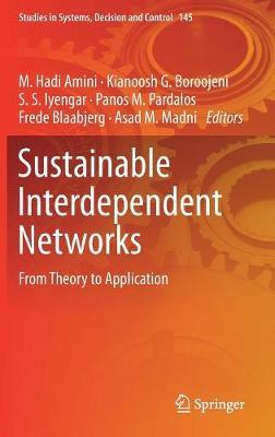Sustainable Interdependent Networks: From Theory to Application
