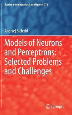 Models of Neurons and Perceptrons: Selected Problems and Challenges