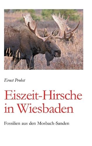 Eiszeit-Hirsche in Wiesbaden: Fossilien aus den Mosbach-Sanden