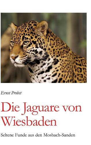 Die Jaguare von Wiesbaden: Seltene Funde aus den Mosbach-Sanden