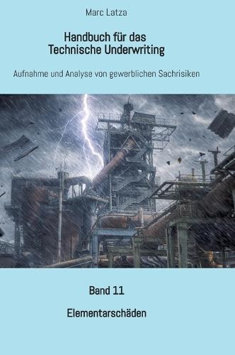 Handbuch für das Technische Underwriting: Band 11: Elementarschäden
