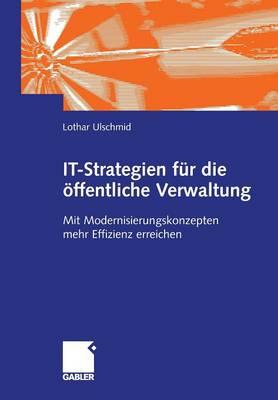 IT-Strategien für die öffentliche Verwaltung: Mit Modernisierungskonzepten mehr Effizienz erreichen