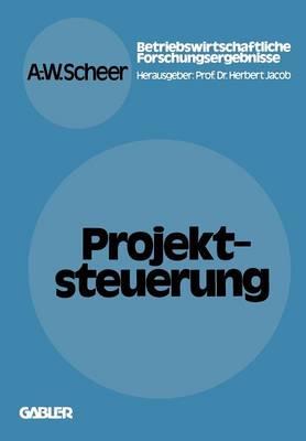 Projektsteuerung