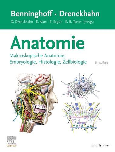 Benninghoff/Drenckhahn, Anatomie: Makroskopische Anatomie, Histologie, Embryologie, Zellbiologie