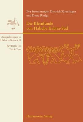Die Kleinfunde Von Habuba Kabira-Sud