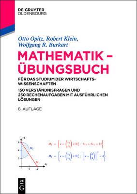 Mathematik - Übungsbuch: Für Das Studium Der Wirtschaftswissenschaften. 150 Verständnisfragen Und 250 Rechenaufgaben Mit Ausführlichen Lösungen