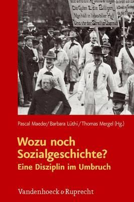 Wozu noch Sozialgeschichte?: Eine Disziplin im Umbruch