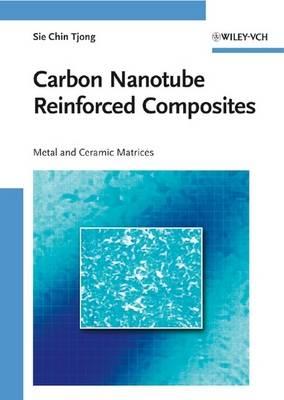 Carbon Nanotube Reinforced Composites: Metal and Ceramic Matrices