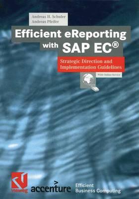 Efficient eReporting with SAP EC: Strategic Direction and Implementation Guidelines