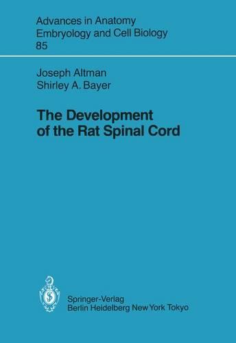 The Development of the Rat Spinal Cord