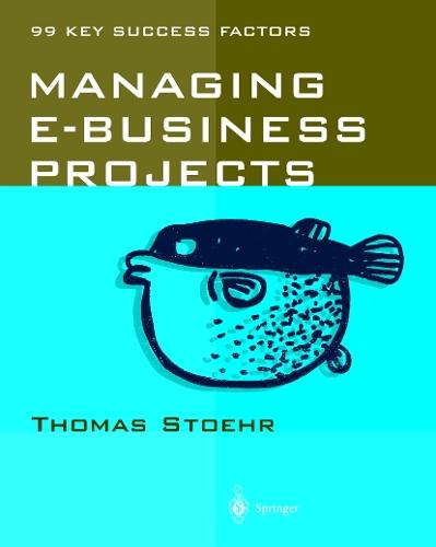 Managing e-business Projects: 99 Key Success Factors