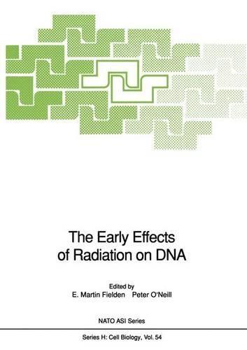 The Early Effects of Radiation on Deoxyribonucleic Acid: Workshop Proceedings
