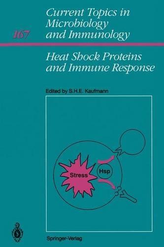 Heat Shock Proteins and Immune Response