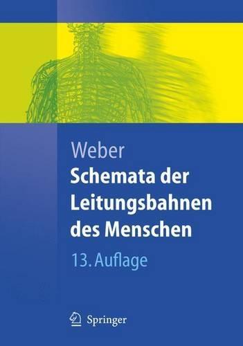Schemata Der Leitungsbahnen Des Menschen
