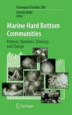 Marine Hard Bottom Communities: Patterns, Dynamics, Diversity, and Change