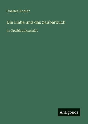 Die Liebe und das Zauberbuch: in Großdruckschrift