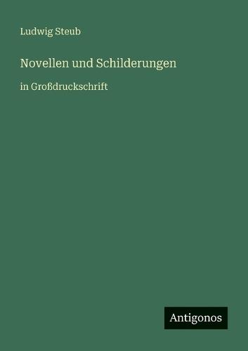 Novellen und Schilderungen: in Großdruckschrift