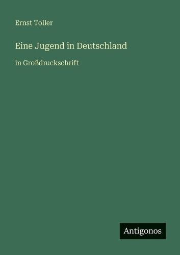 Eine Jugend in Deutschland: in Großdruckschrift